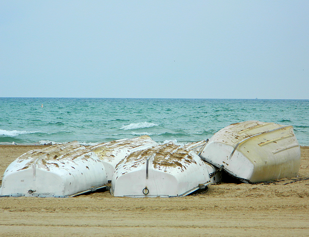 Chicago Beach at Foster Avenue