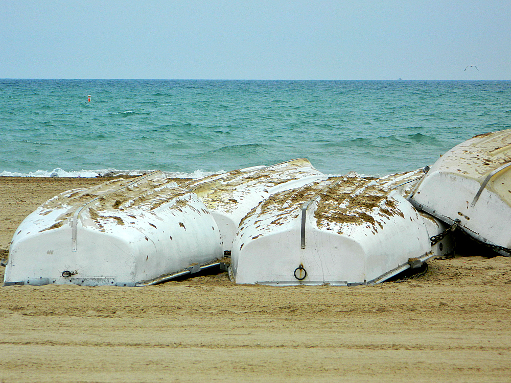 Chicago Beach Foster Avenue Beach