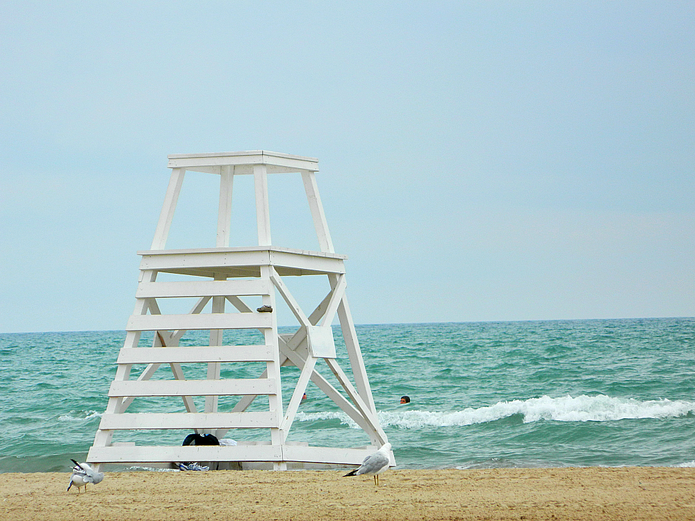 Chicago Beach Foster Avenue Beach