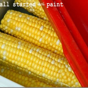 corn-on-cob-made-in-cooler