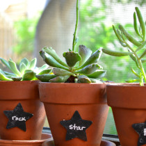 chalkboard-painted-plant-tags