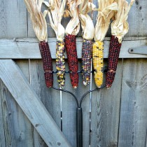 fall-spray-paint-display-indian-corn-on-rake.jpg