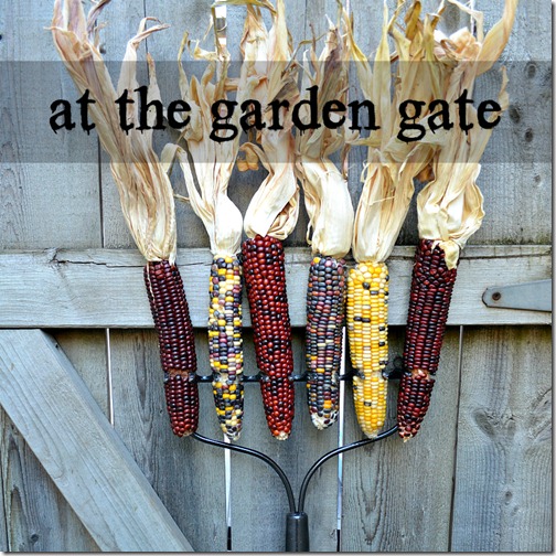 fall-spray-paint-display-indian-corn-on-rake-button-2