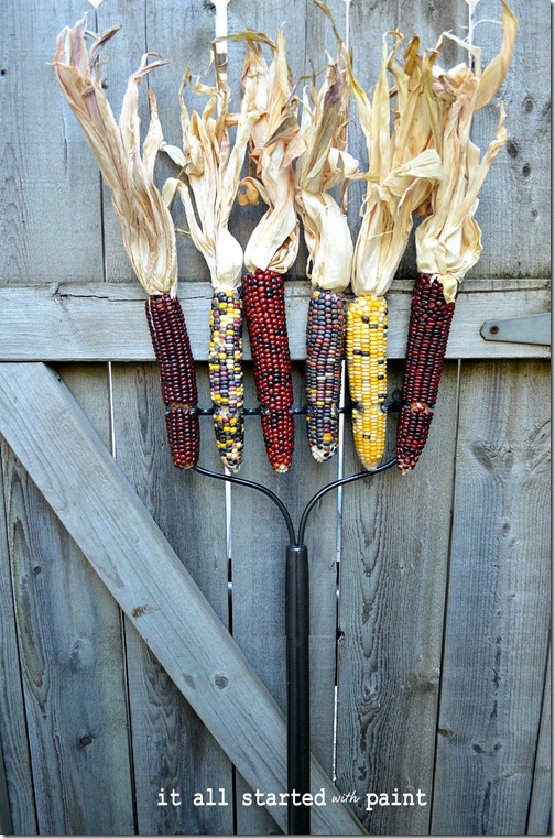 fall-spray-paint-display-indian-corn-on-rake