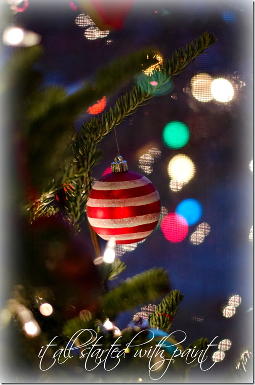 Christmas Tree wih bokah