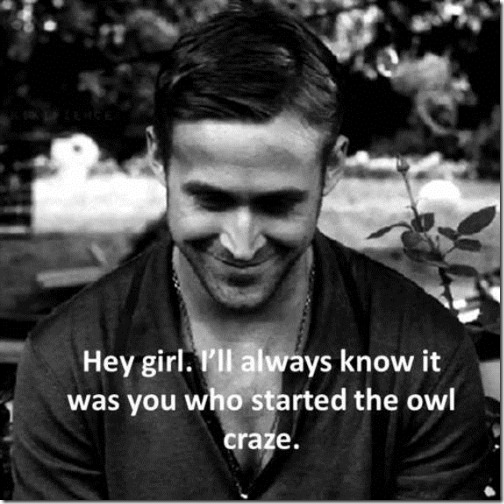 ryan_gosling_hey_girl_owls