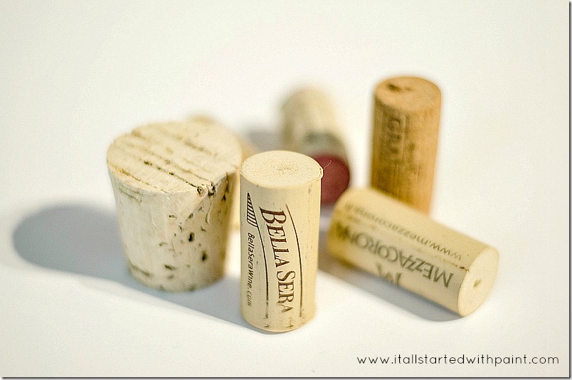 wine-cork-as-magnet-planter step 1