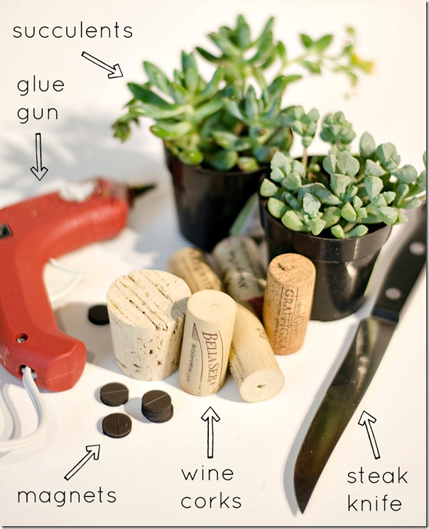 wine-cork-as-magnet-planter step 2