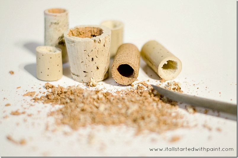 wine-cork-as-magnet-planter step 3