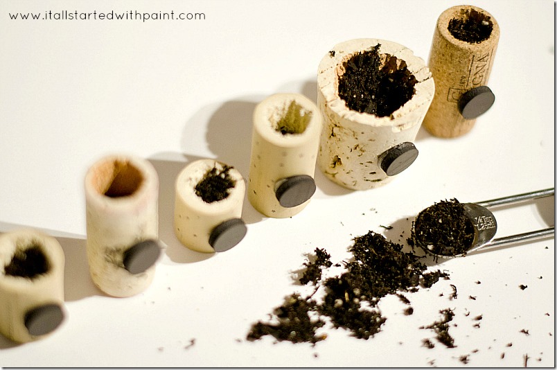 wine-cork-as-magnet-planter step 5