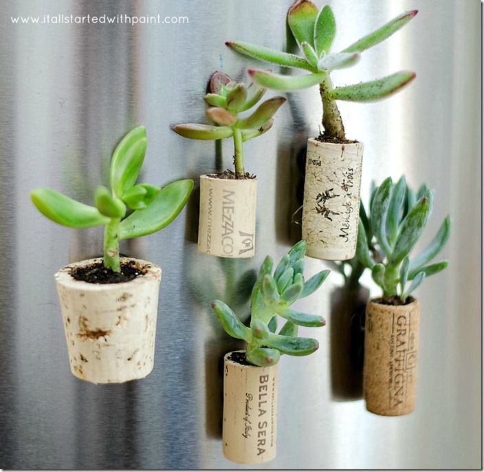 wine-cork-magnet-planters-tutorial-how to