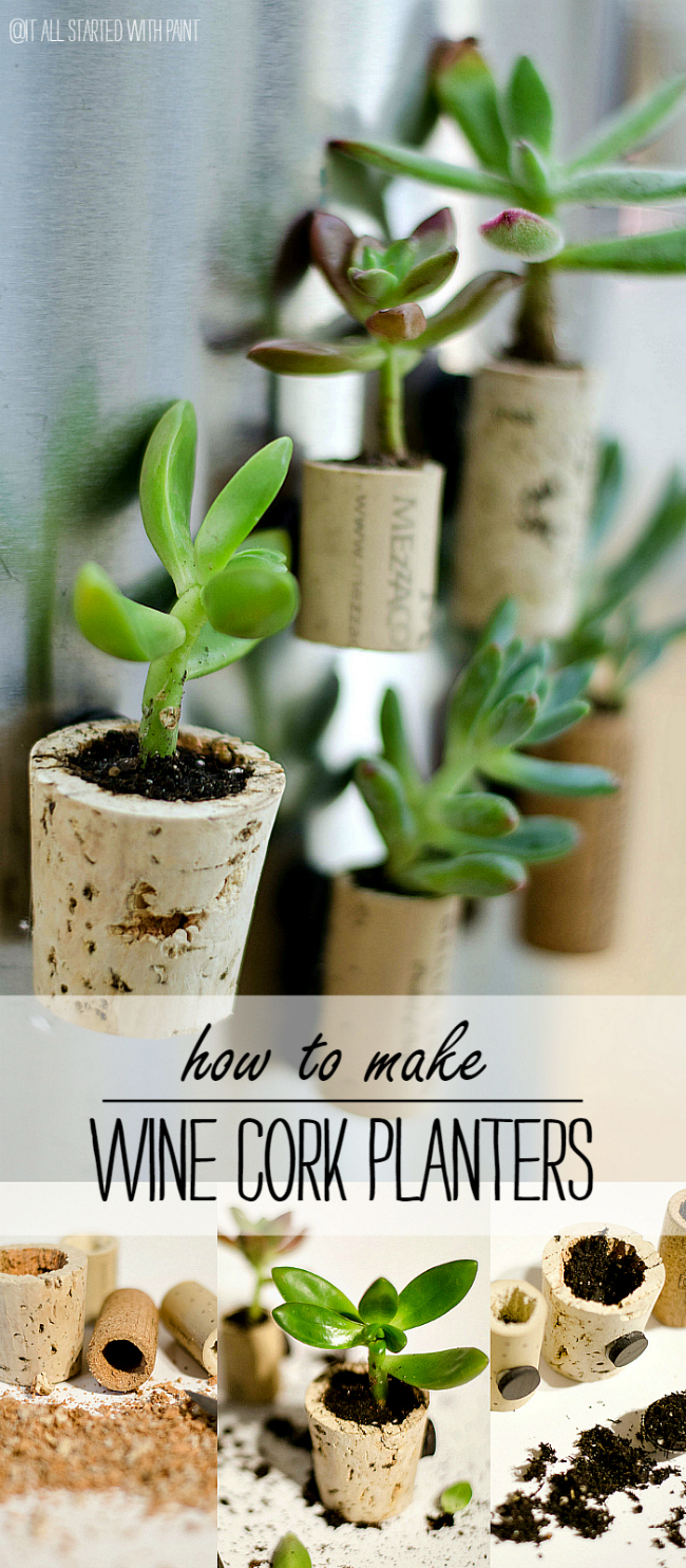 Succulent Planter Ideas: Wine Cork Magnet Planters