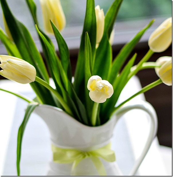 yellow-tulips-mothers-day-3