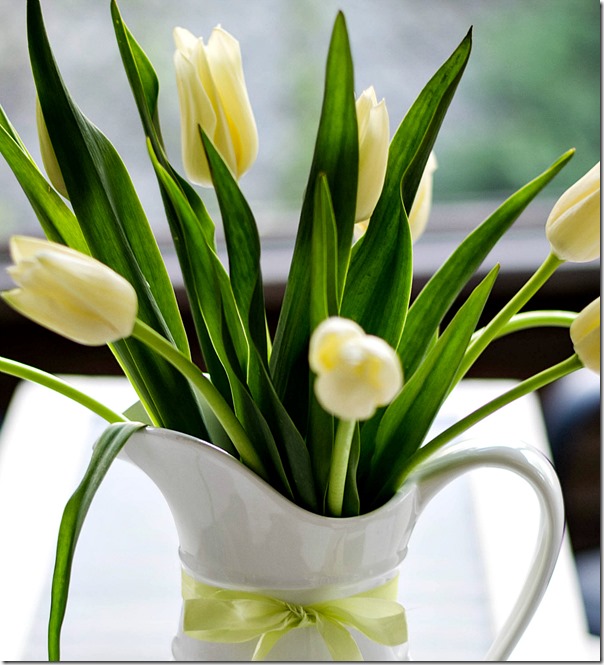 yellow-tulips-mothers-day