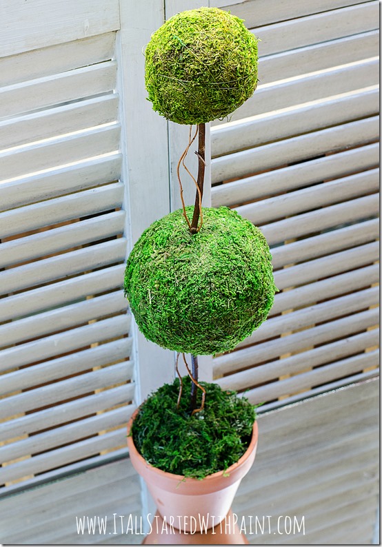 Mini Moss Ball Topiary DIY - Beauty For Ashes