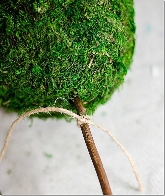 how-to-make-a-topiary-14