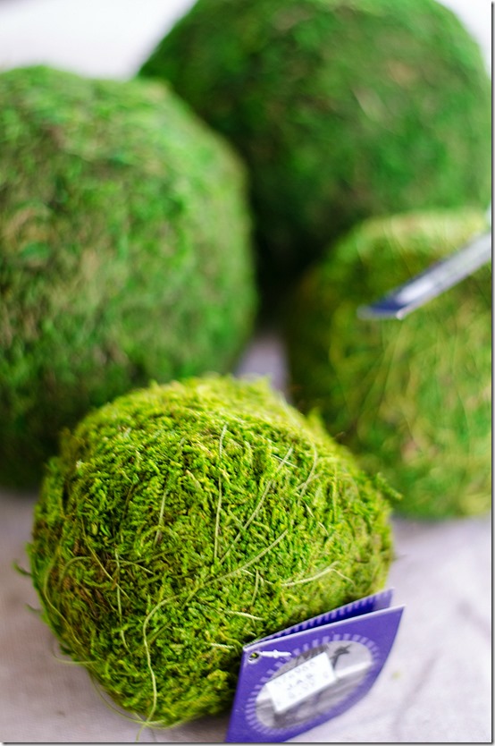 how-to-make-a-topiary-6