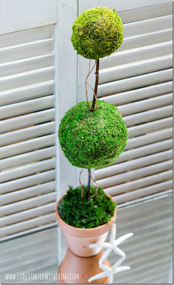 how-to-make-a-topiary-with-moss-balls