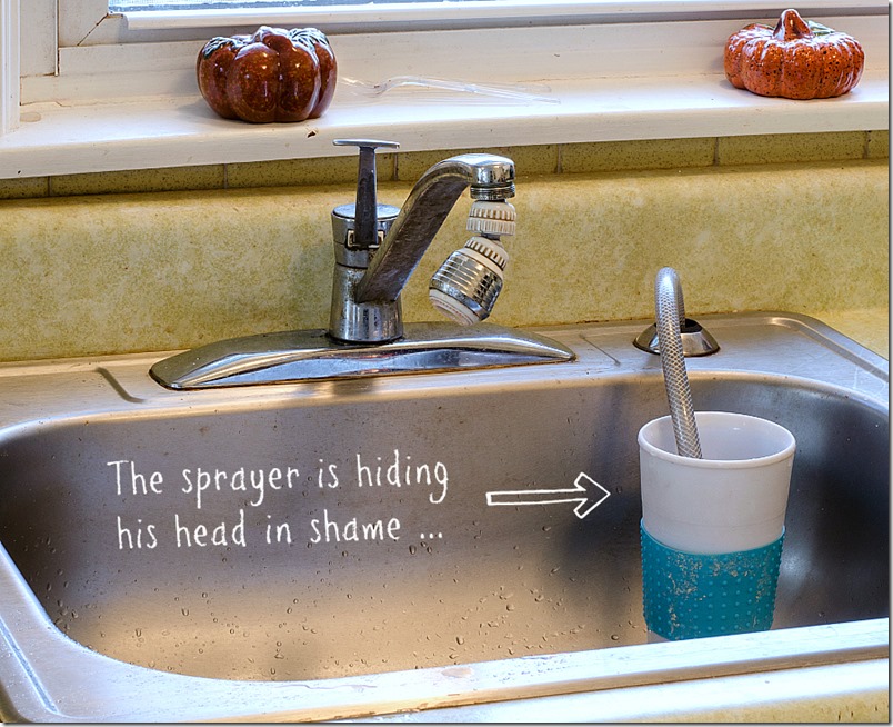 how-to-replace-kitchen-faucet-8 2