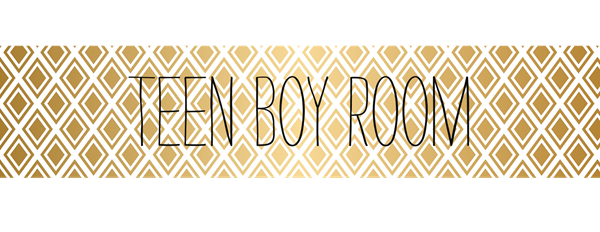 Teen Boy Room 2
