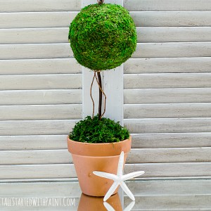 topiary diy