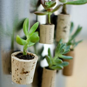 Wine Cork Planter Magnet