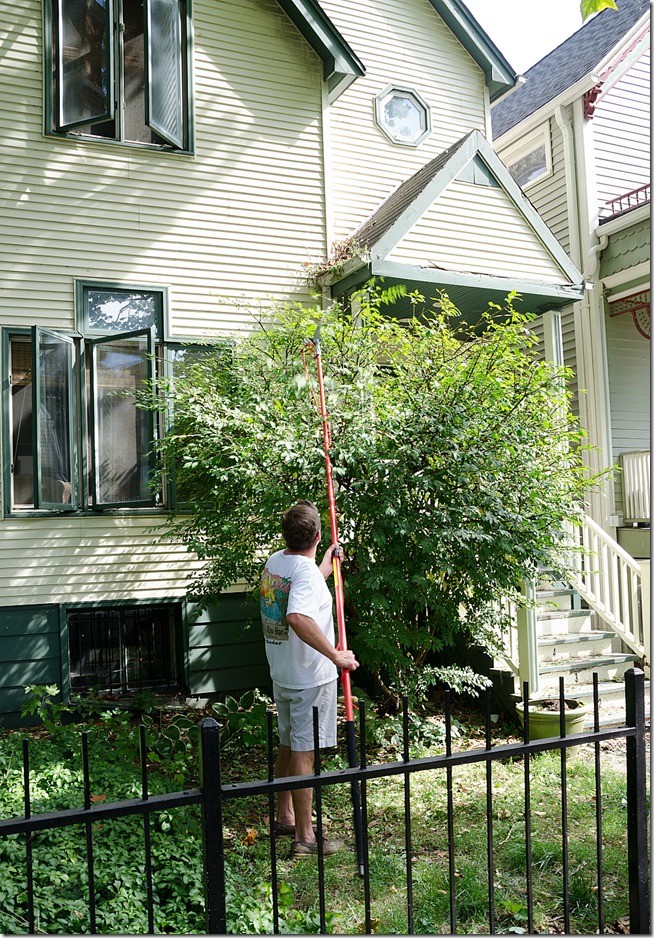 tree-pruning-hedge-trimming-11