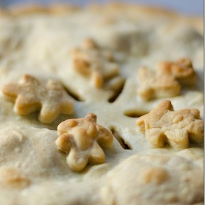 homemade apple pie