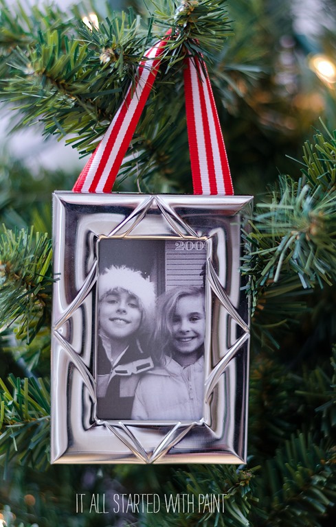 picture frame ornaments