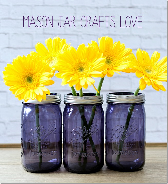 purple-mason-jars 2