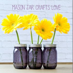 purple mason jar giveaway