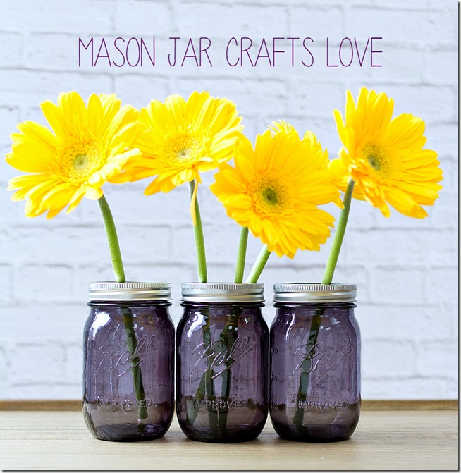 purple-mason-jars-7 2