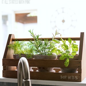 Rustic Tool Box Planter