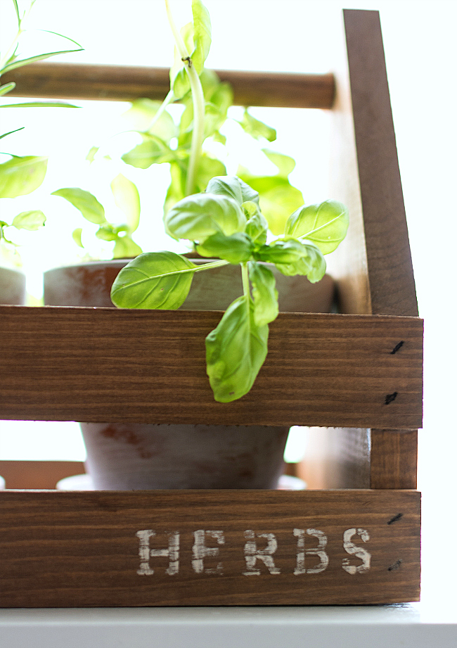 Rustic Tool Box Planter