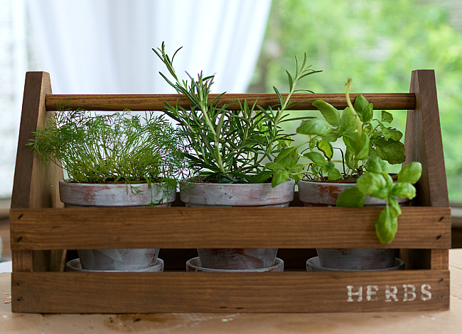 Rustic Tool Box Planter