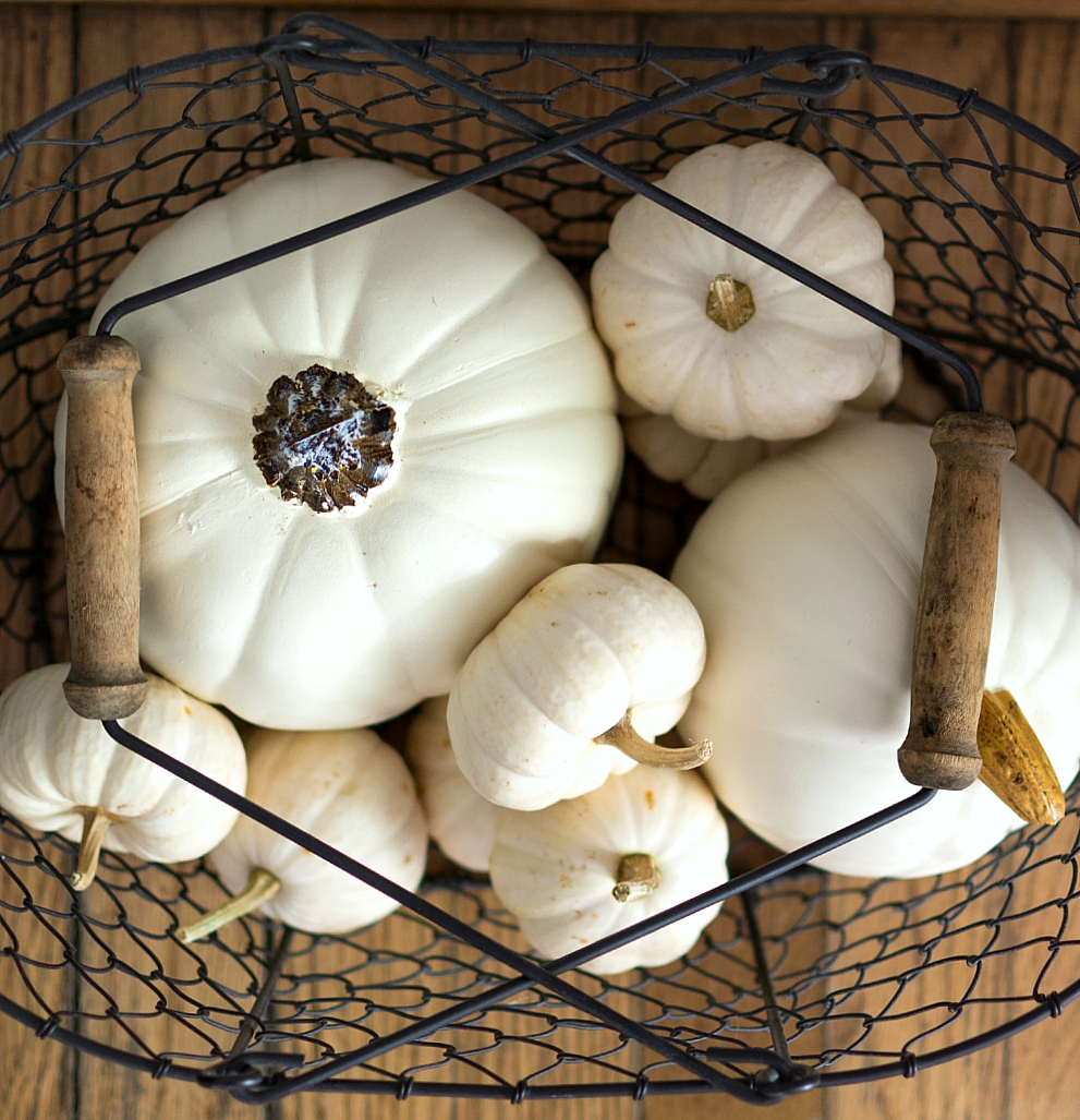 White Pumpkins