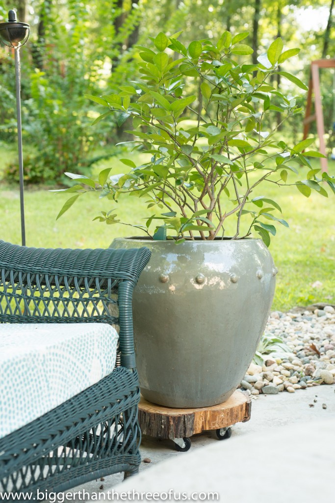 Plant Stand on Rollers DIY