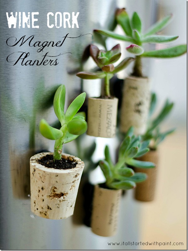 Succulent Planter Idea: Wine Cork Magnets