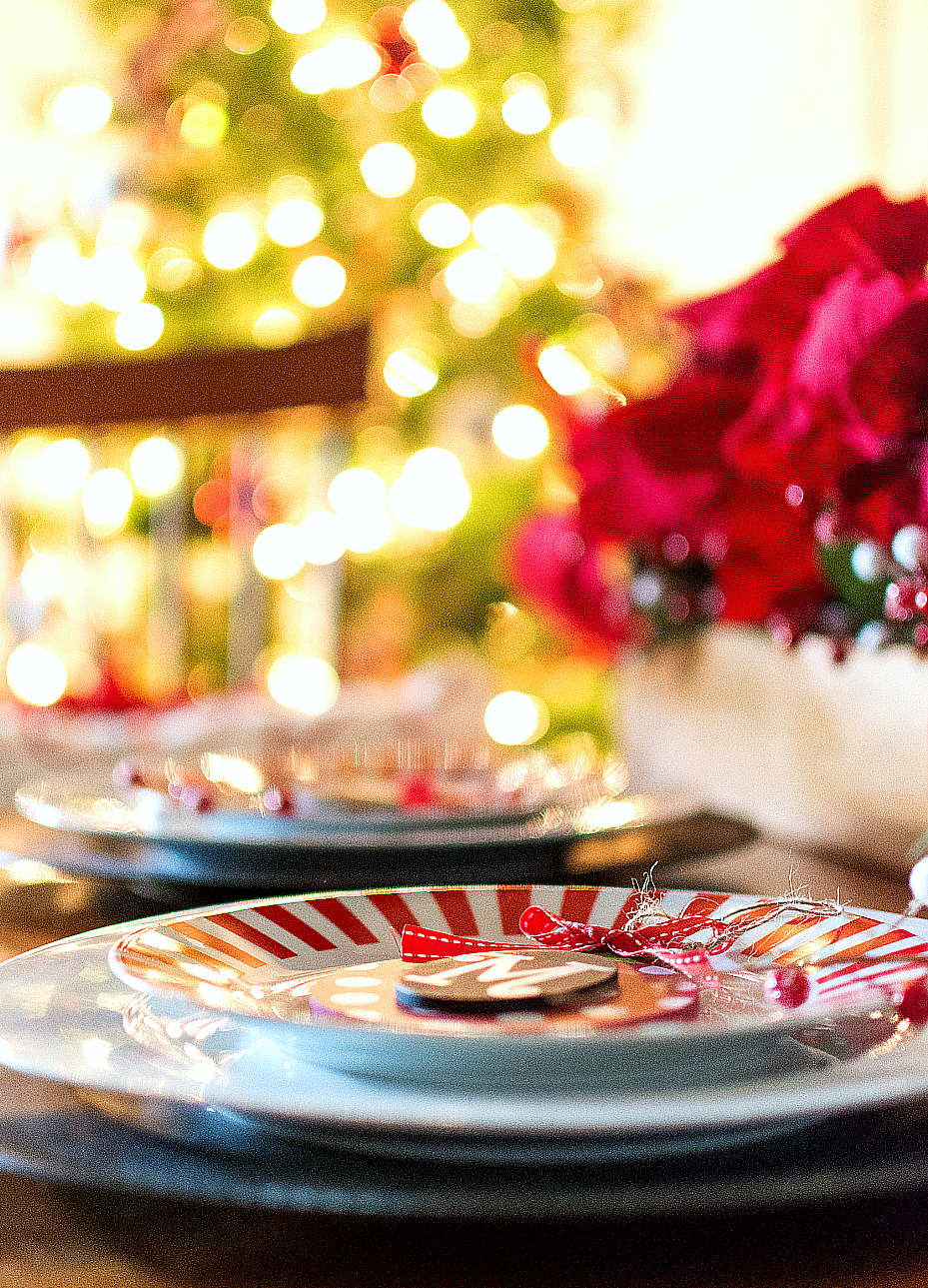 holiday-table-setting-ideas (23 of 28)