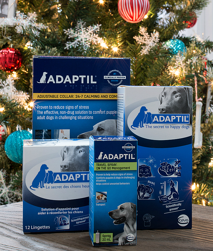 Adaptil for Dog Stress (8 of 8)