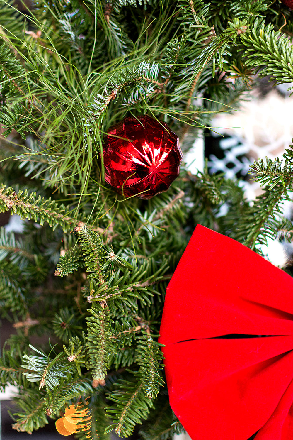 Outdoor-Christmas-Decor (11 of 31)