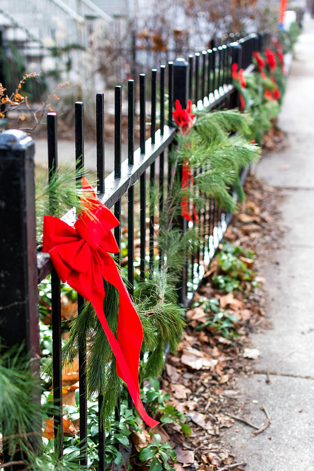 Iron Fence with Garland and Bows in Chicago