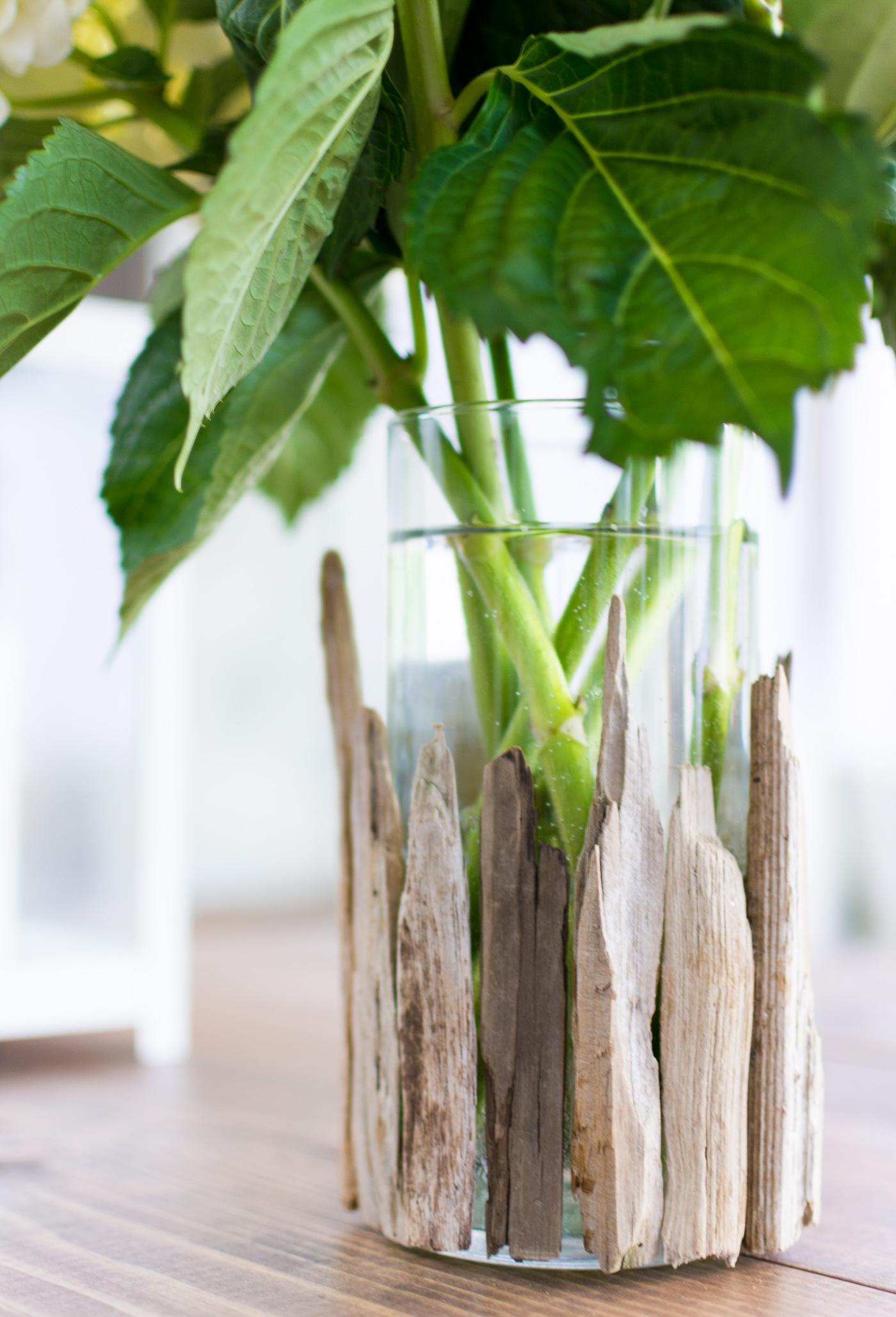 Driftwood Vase