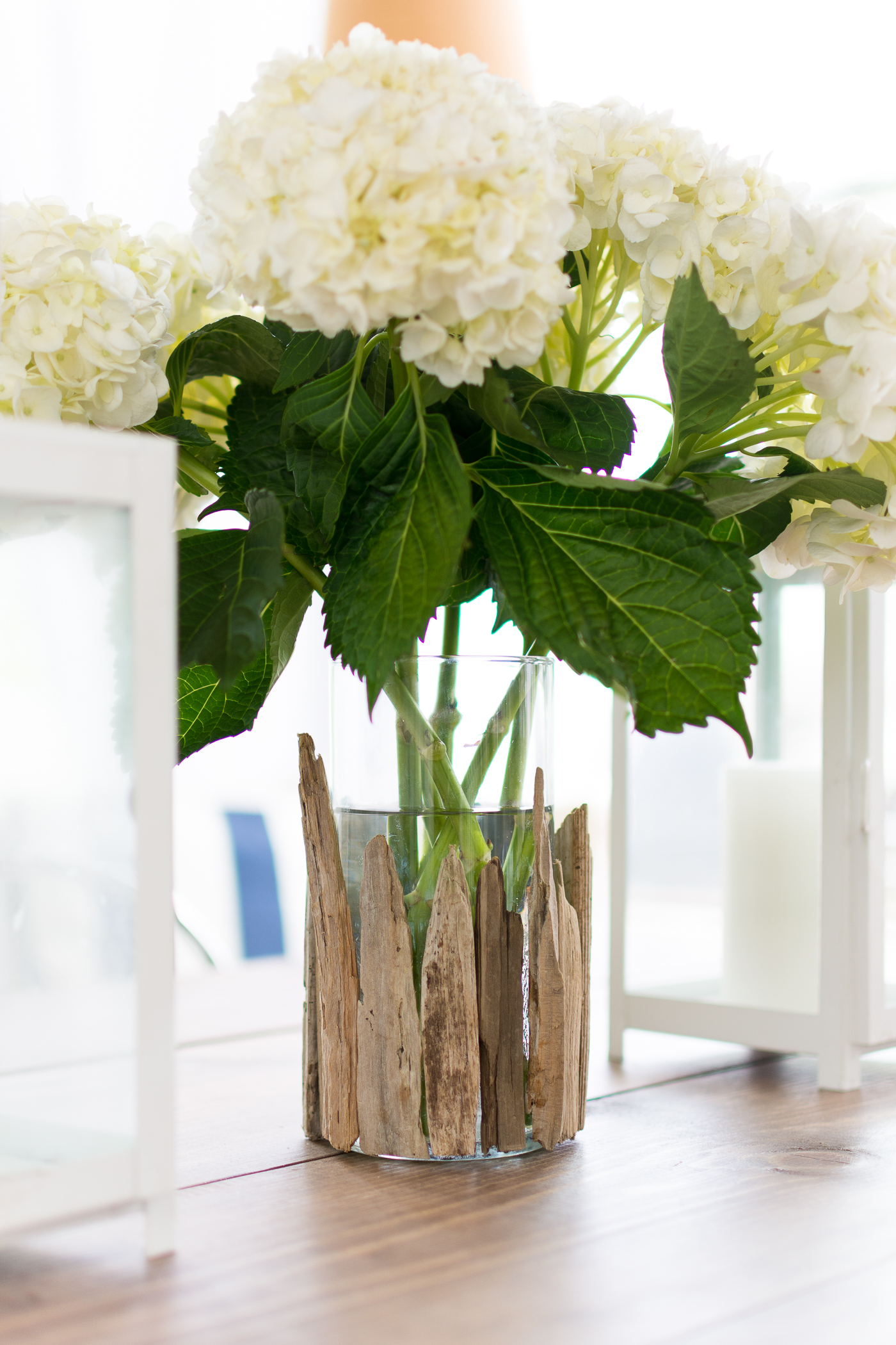 Beach Decor Ideas with Driftwood