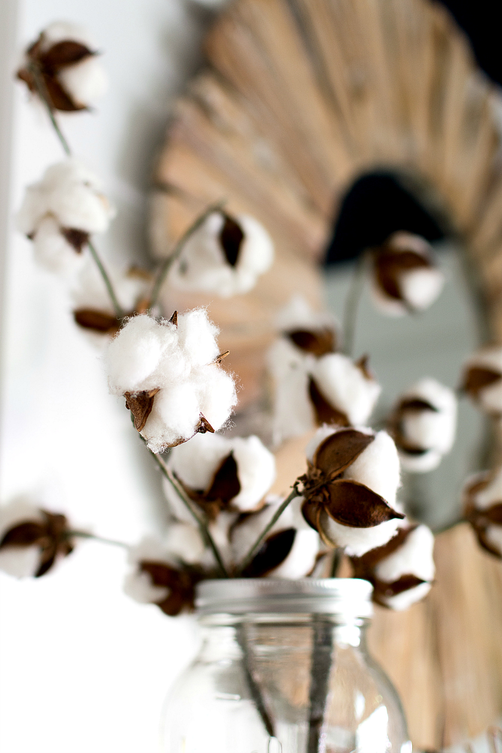 Cotton Stems 