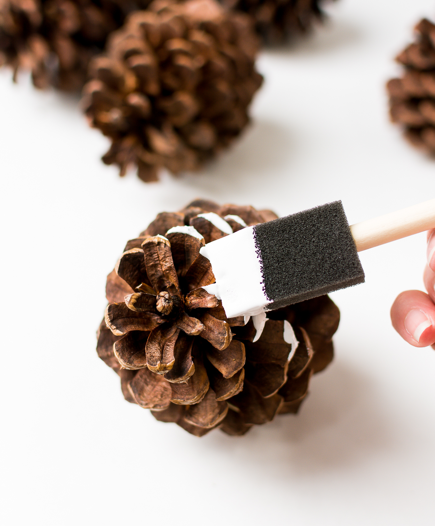 painted-pine-cones-how-to-paint-itallstartedwithpaint-com-3