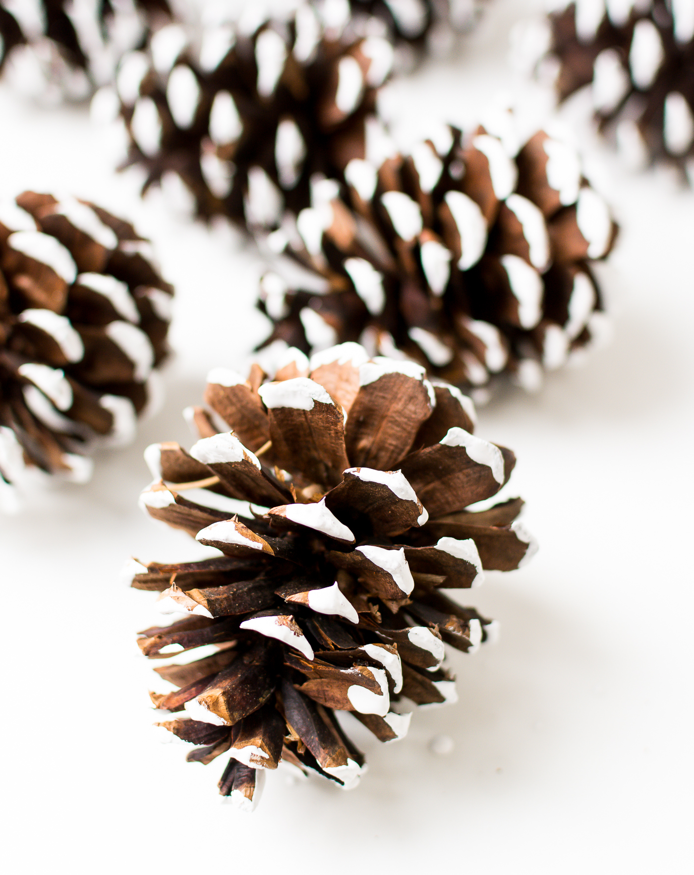 12 NATURAL LARGE LONG PINE CONES CRAFTS & DECORATION 4" OR MORE IN LENGTH 