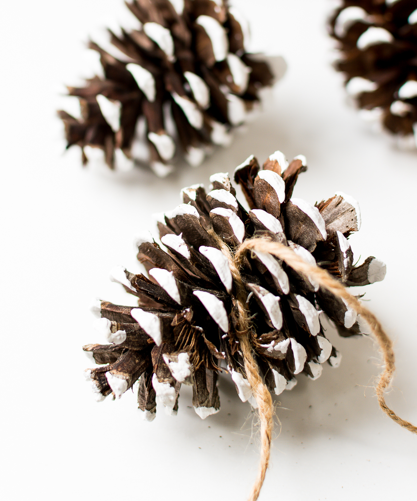 painted-pine-cones-how-to-paint-itallstartedwithpaint-com-7-1