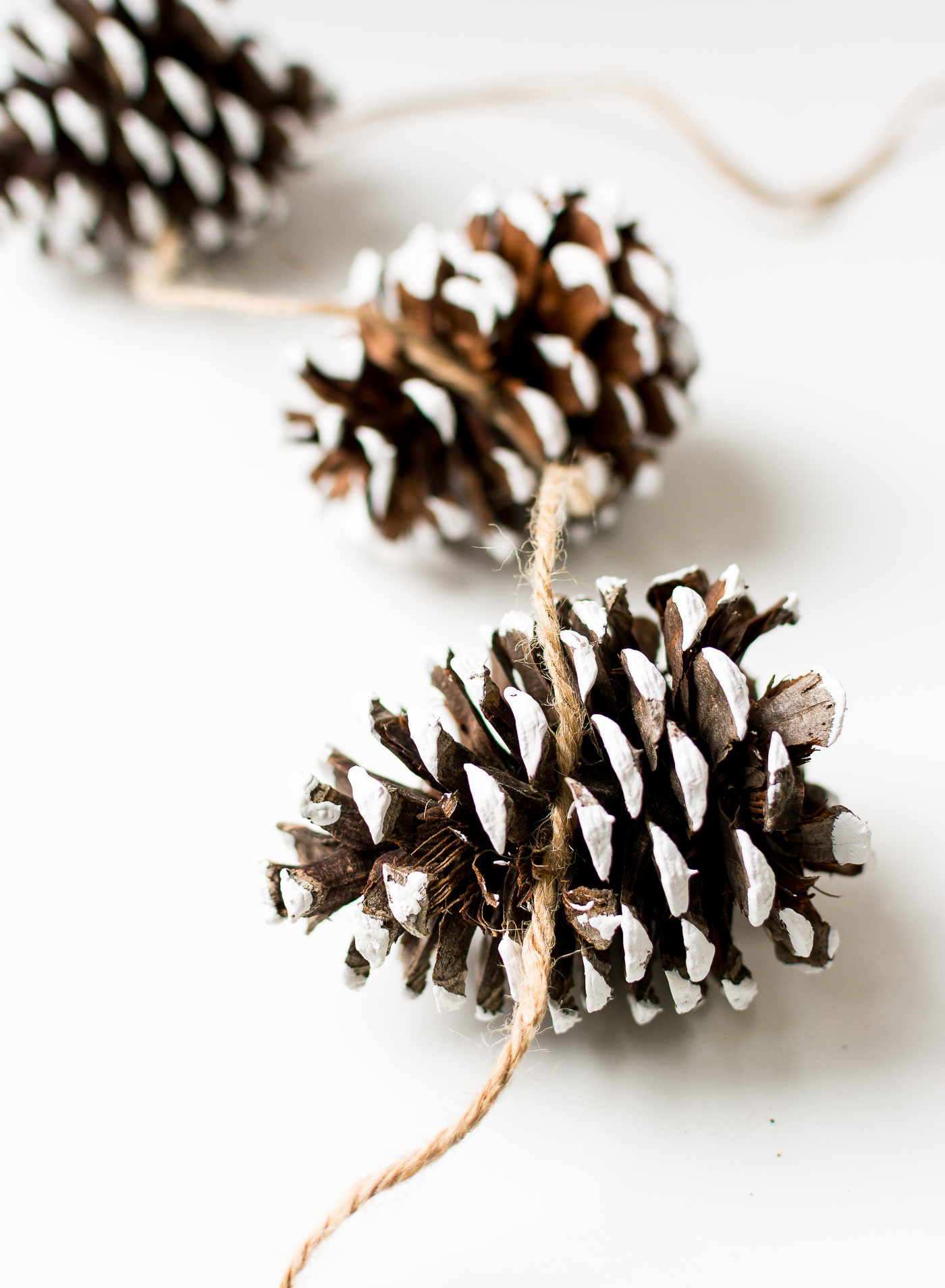 painted-pine-cones-how-to-paint-itallstartedwithpaint-com-9-1