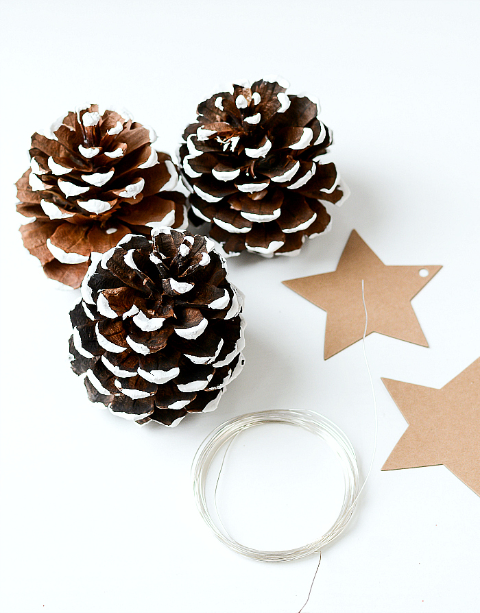 Pine Cone Place Card Holder